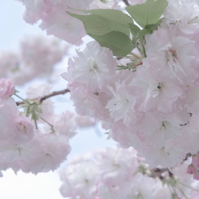 兽设雨夜场景绘制FurryQQ群